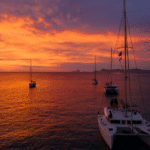 Where Can I Book Sightseeing Fishing Charters in Naples for Halloween?