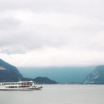 Sightseeing Boat Tour: How to Escape the Crowds and See Real Wildlife