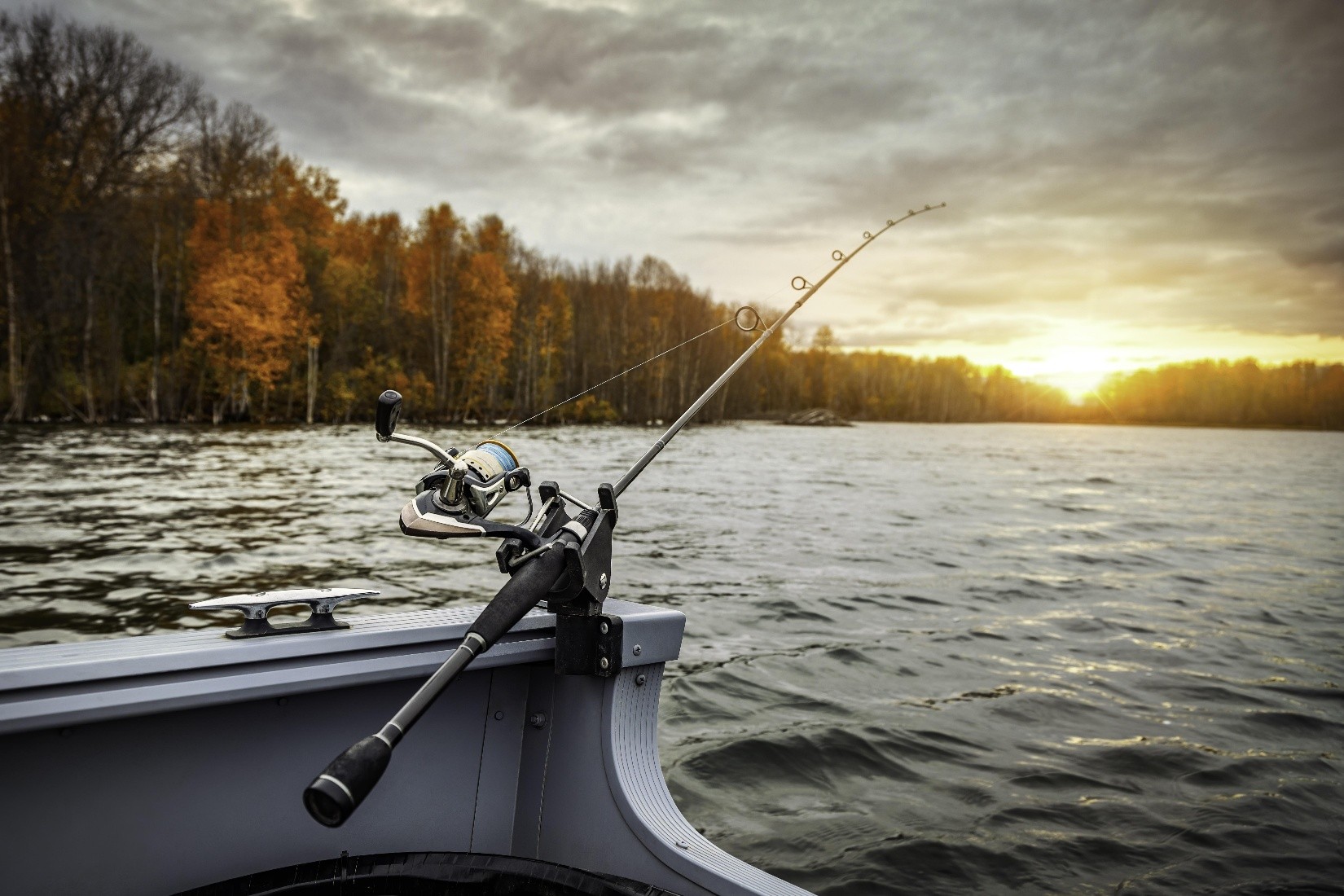 What is the best fishing charter in Naples, FL for my family?